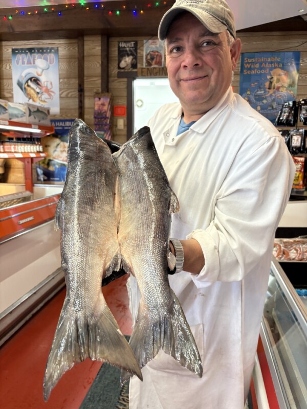 Alaska salmon harvest tops to 129 million fish